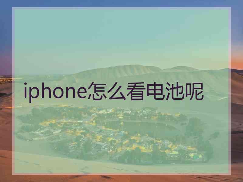 iphone怎么看电池呢