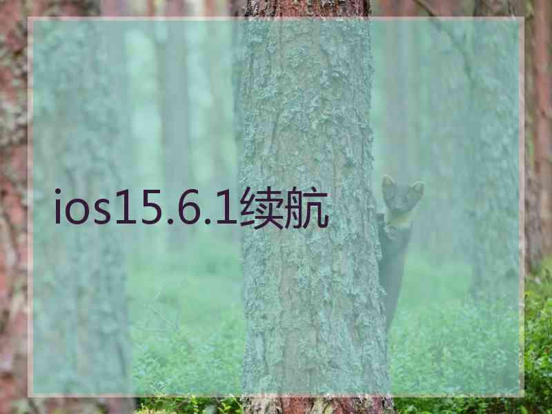 ios15.6.1续航