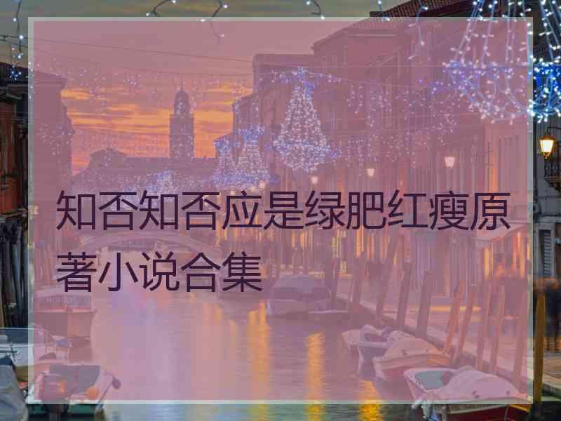 知否知否应是绿肥红瘦原著小说合集