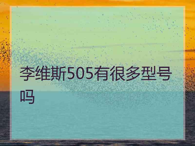 李维斯505有很多型号吗