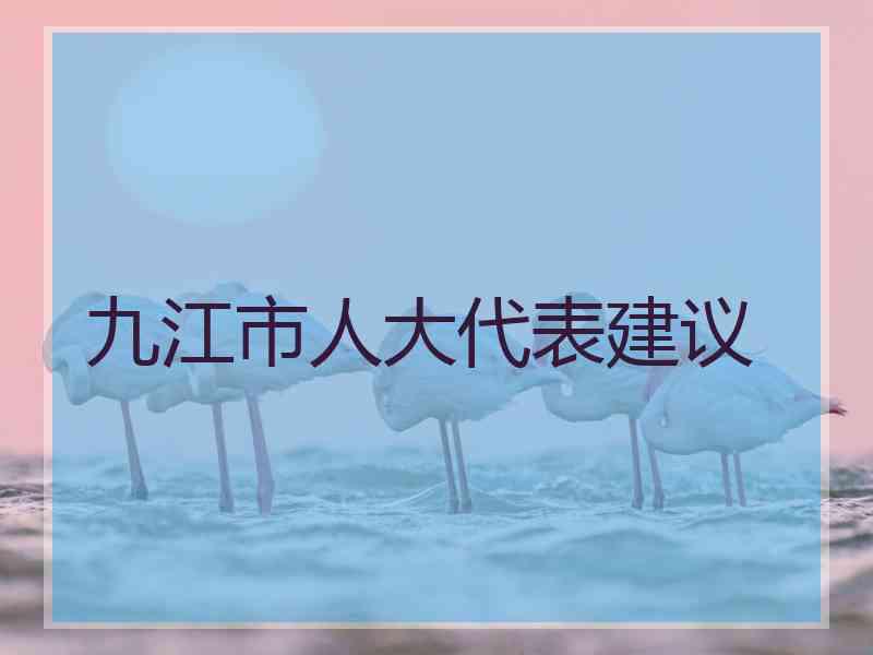 九江市人大代表建议