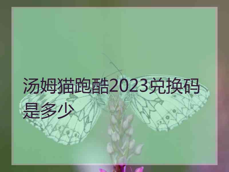 汤姆猫跑酷2023兑换码是多少