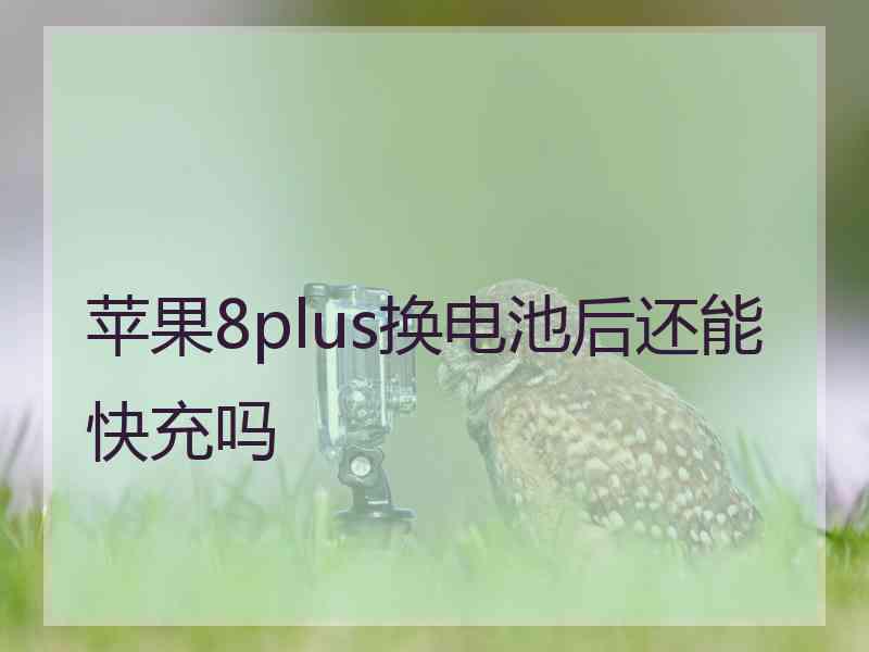 苹果8plus换电池后还能快充吗