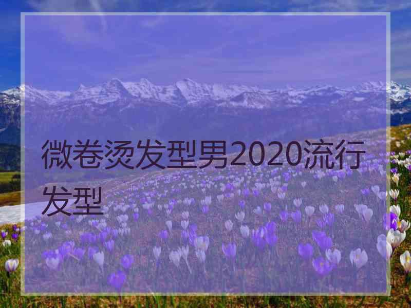 微卷烫发型男2020流行发型