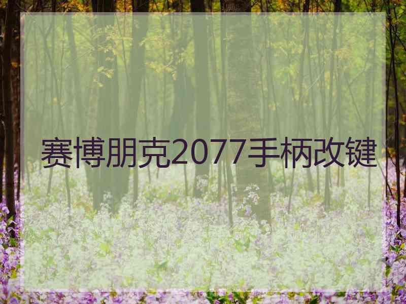 赛博朋克2077手柄改键