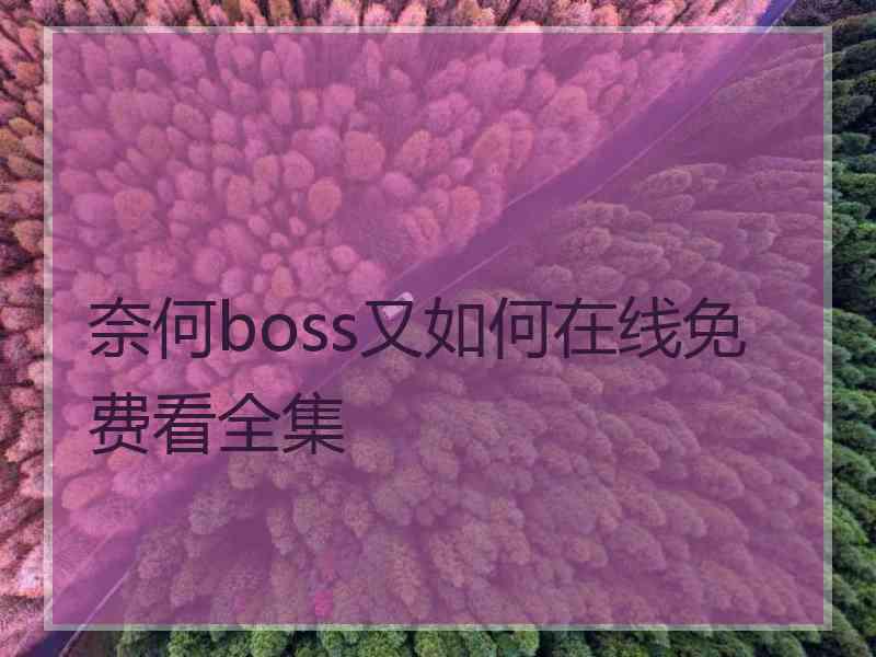 奈何boss又如何在线免费看全集