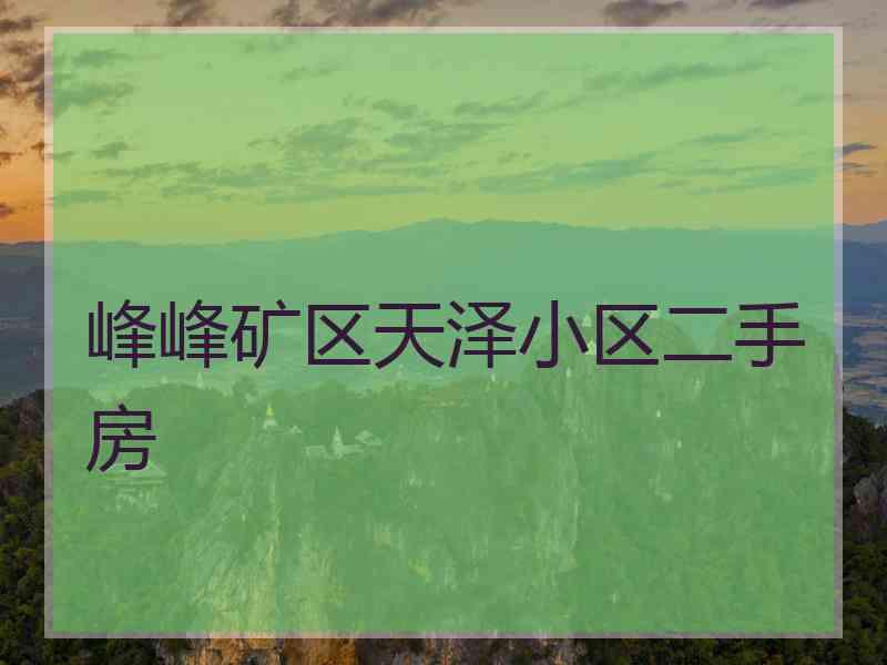 峰峰矿区天泽小区二手房