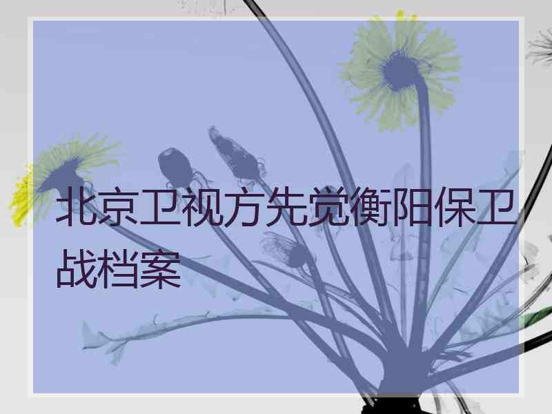 北京卫视方先觉衡阳保卫战档案