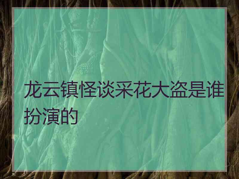 龙云镇怪谈采花大盗是谁扮演的