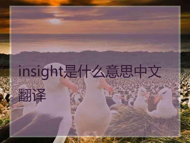 insight是什么意思中文翻译