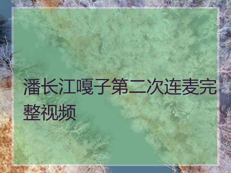 潘长江嘎子第二次连麦完整视频