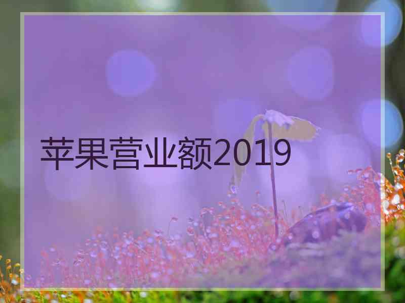 苹果营业额2019