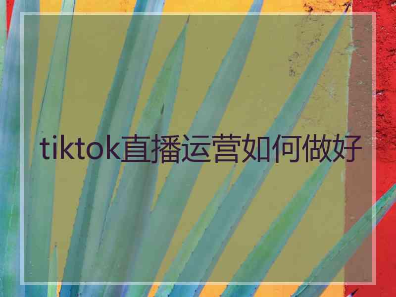 tiktok直播运营如何做好