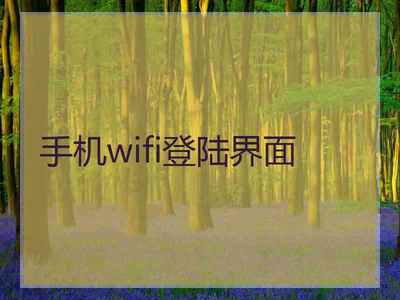 手机wifi登陆界面