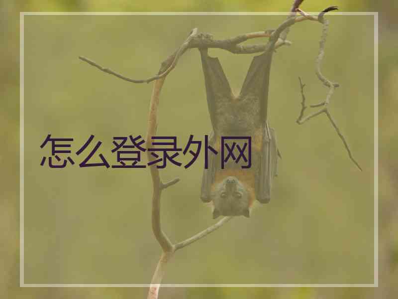 怎么登录外网