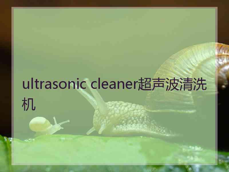 ultrasonic cleaner超声波清洗机