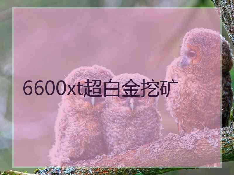 6600xt超白金挖矿