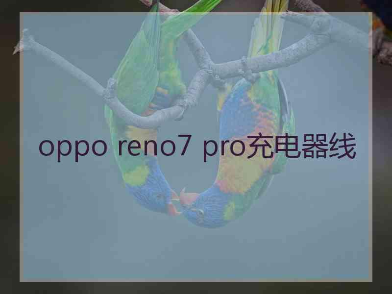 oppo reno7 pro充电器线