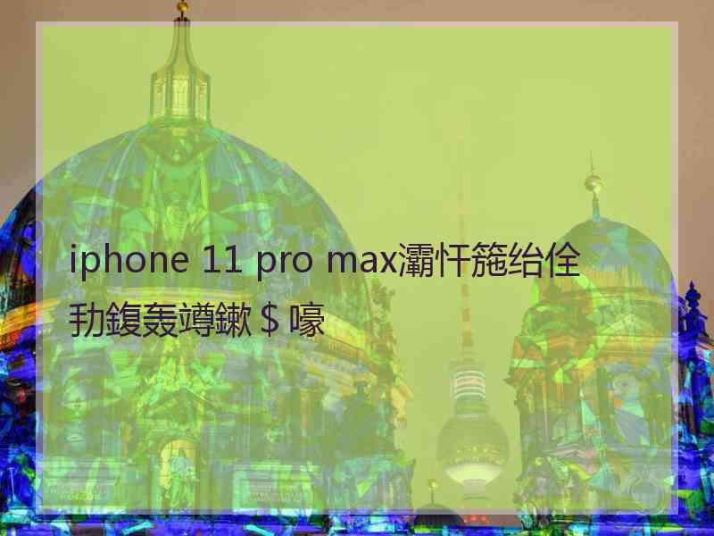 iphone 11 pro max灞忓箷绐佺劧鍑轰竴鏉＄嚎