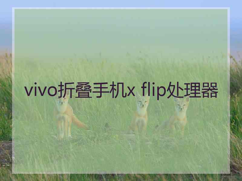 vivo折叠手机x flip处理器