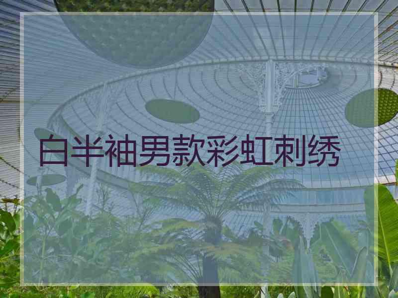 白半袖男款彩虹刺绣