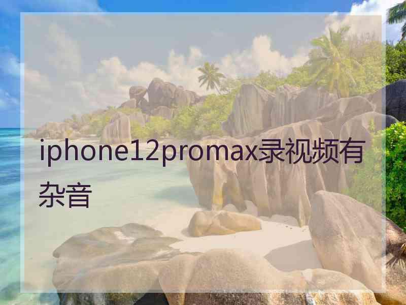 iphone12promax录视频有杂音