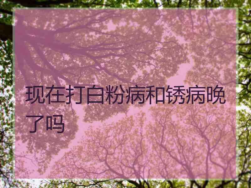 现在打白粉病和锈病晚了吗