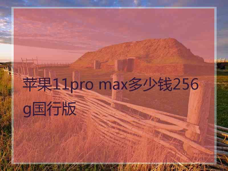 苹果11pro max多少钱256g国行版