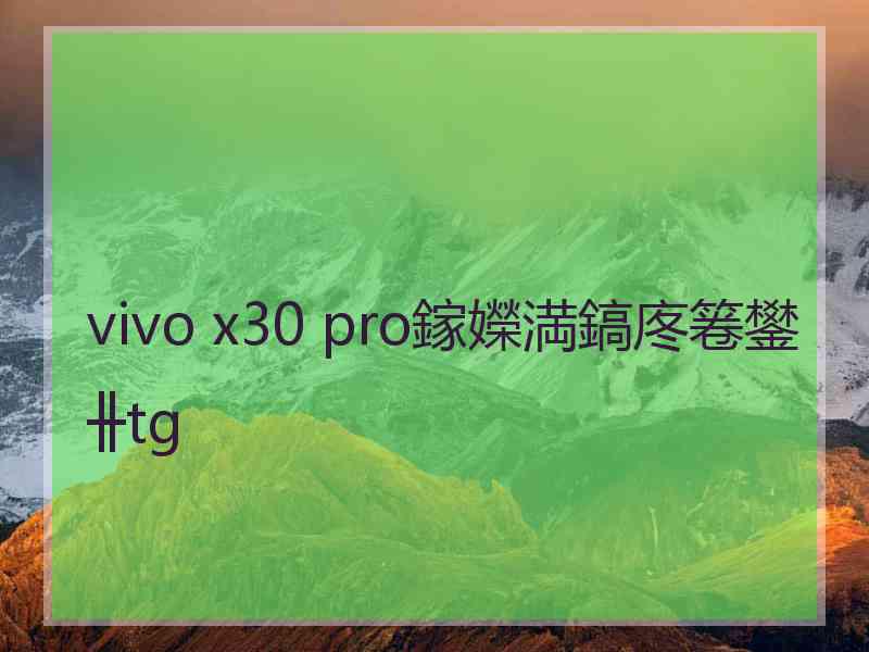 vivo x30 pro鎵嬫満鎬庝箞鐢╫tg