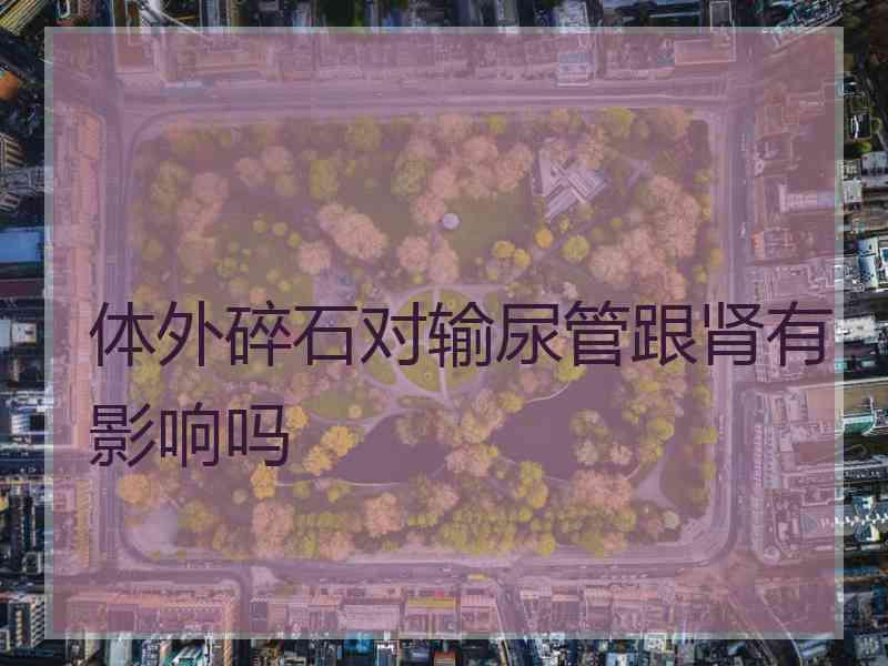 体外碎石对输尿管跟肾有影响吗