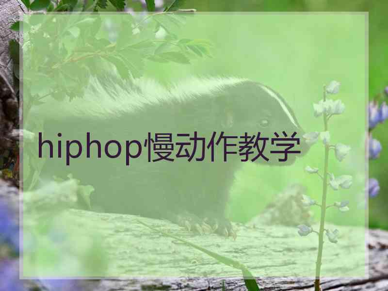 hiphop慢动作教学