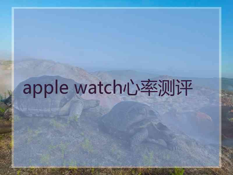 apple watch心率测评