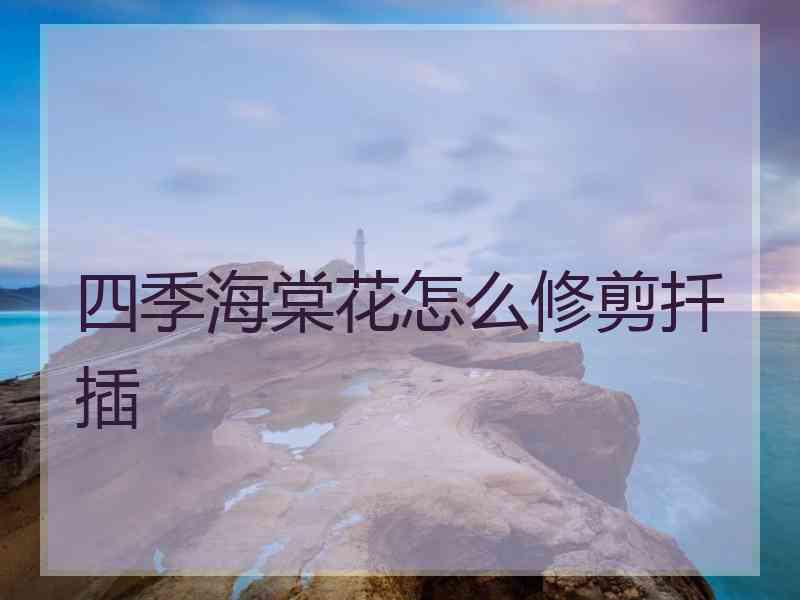 四季海棠花怎么修剪扦插