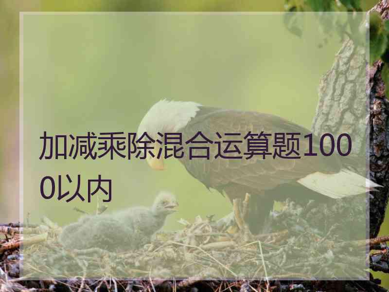 加减乘除混合运算题1000以内