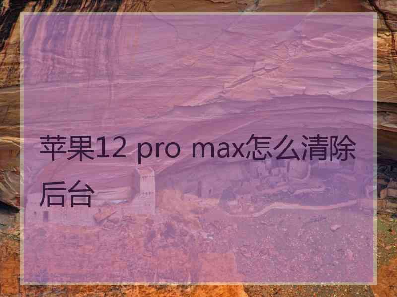 苹果12 pro max怎么清除后台