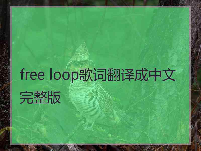 free loop歌词翻译成中文完整版