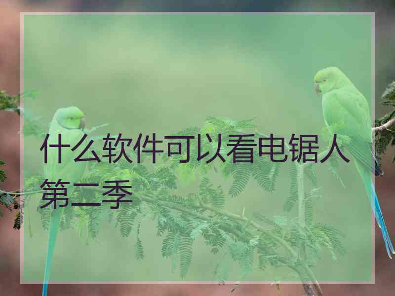 什么软件可以看电锯人第二季