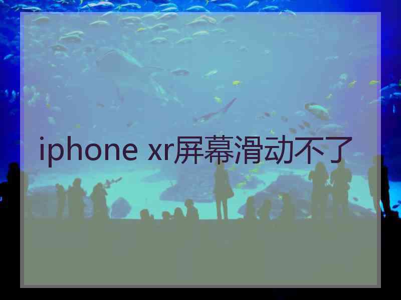 iphone xr屏幕滑动不了