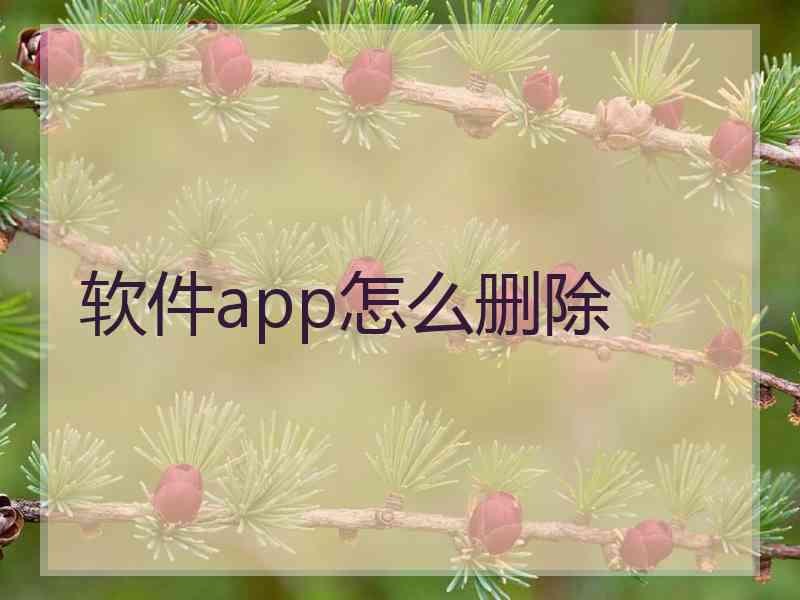 软件app怎么删除