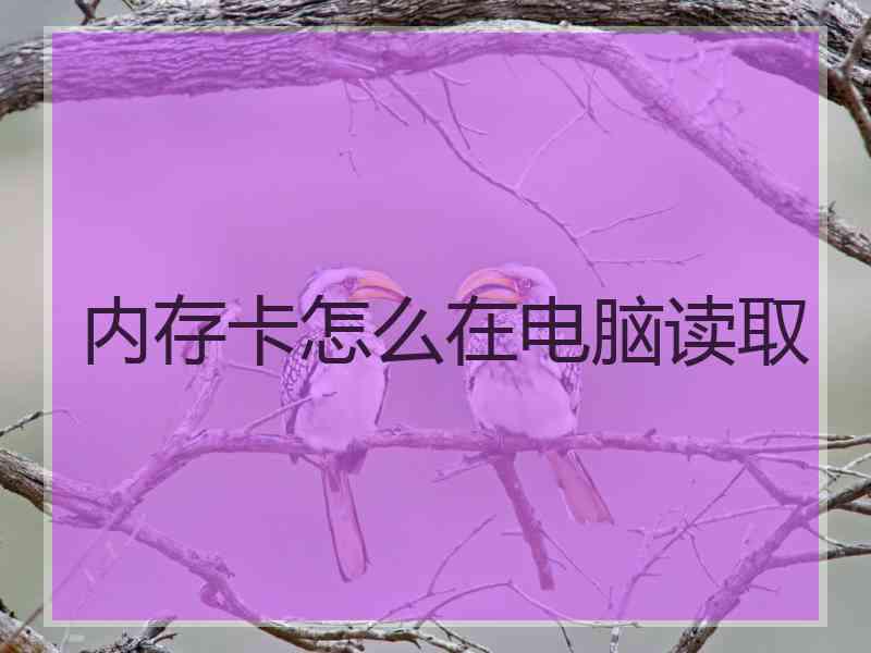 内存卡怎么在电脑读取