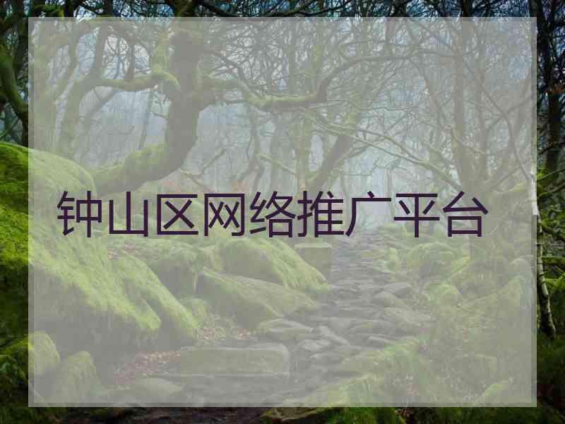 钟山区网络推广平台