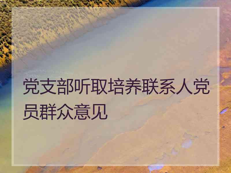 党支部听取培养联系人党员群众意见