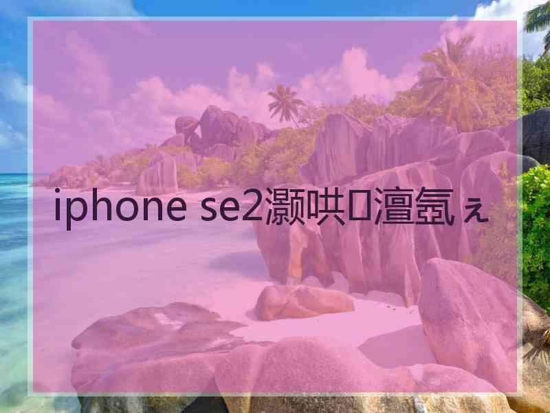 iphone se2灏哄澶氬ぇ