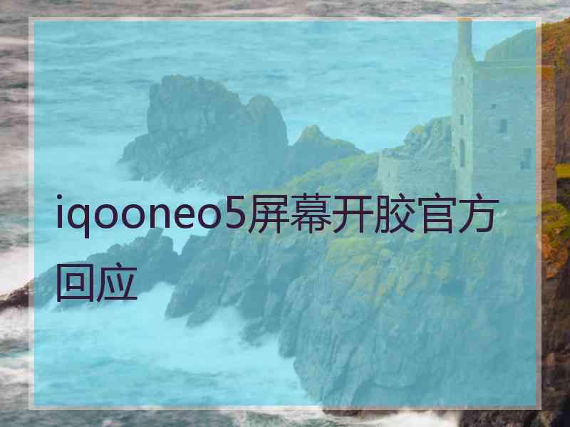 iqooneo5屏幕开胶官方回应