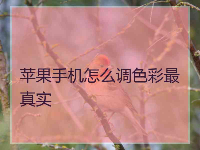 苹果手机怎么调色彩最真实