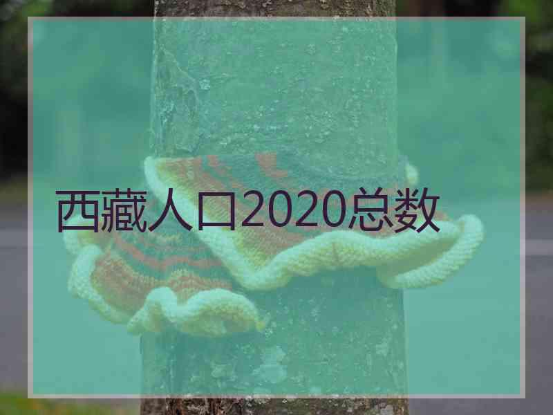 西藏人口2020总数