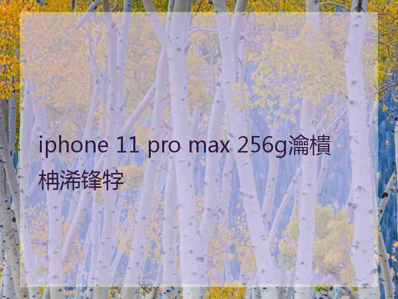 iphone 11 pro max 256g瀹樻柟浠锋牸