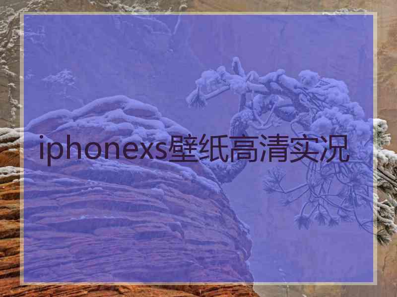 iphonexs壁纸高清实况