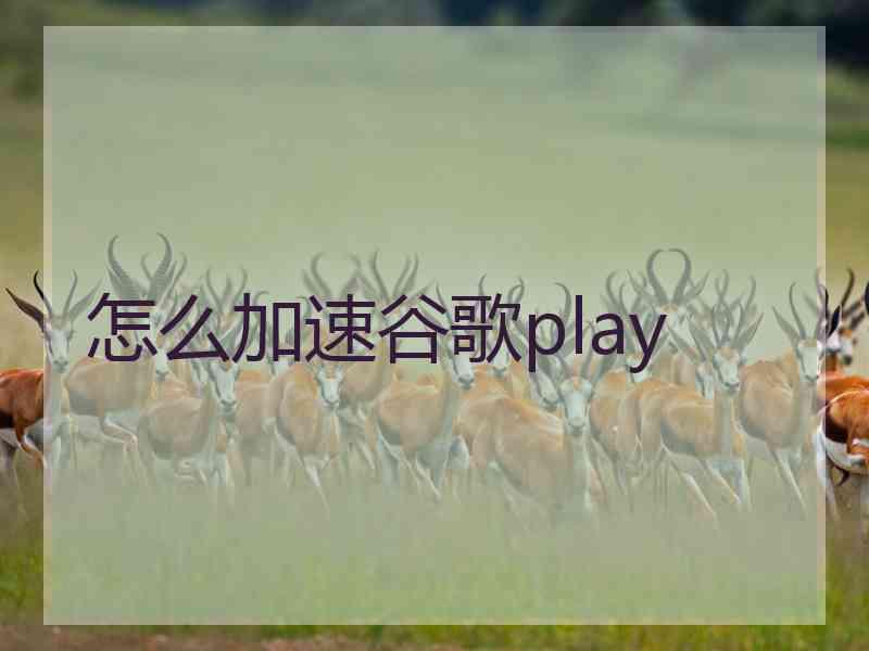 怎么加速谷歌play