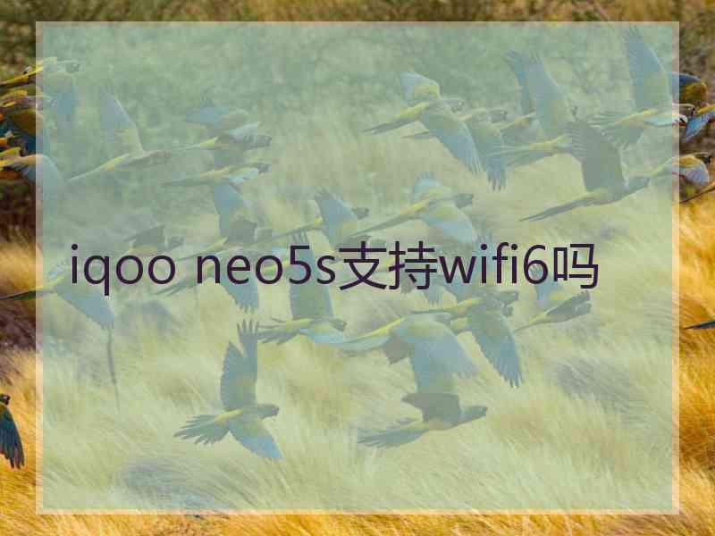 iqoo neo5s支持wifi6吗